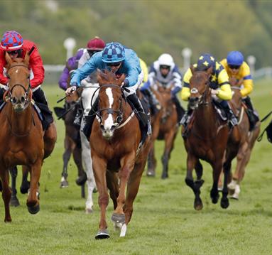 Nottinghamshire Oaks Raceday