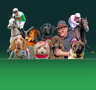 Four-Legged Friends Raceday
