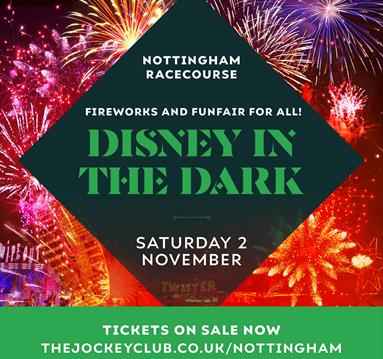 Disney in Dark - Fireworks Display at Nottingham Racecourse
