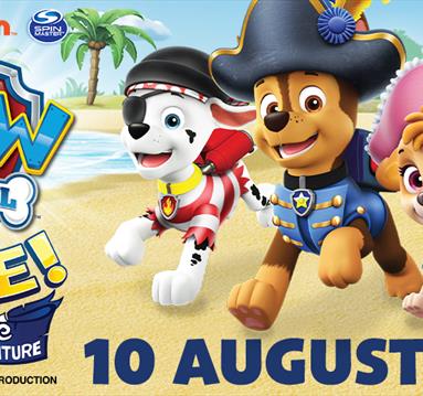 Graphic of Paw Patrol characters