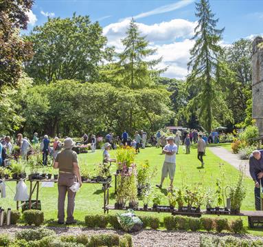 Plant Hunters Fair at Southwell Minster
