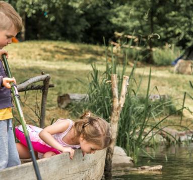 Pond Dipping