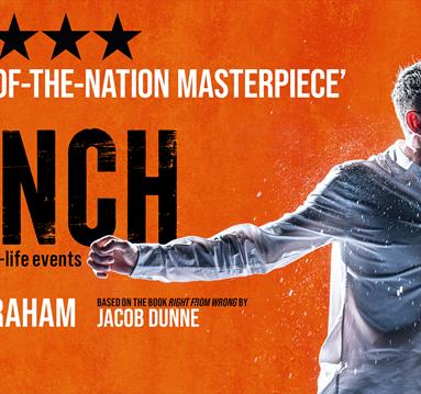 Punch by James Graham promotional poster