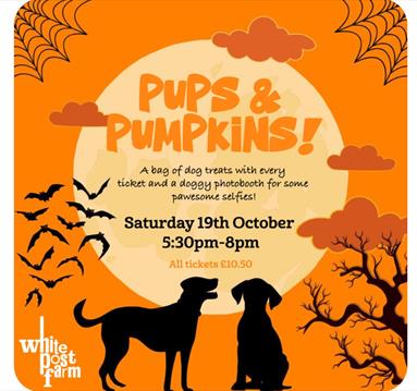 Pups & Pumpkins