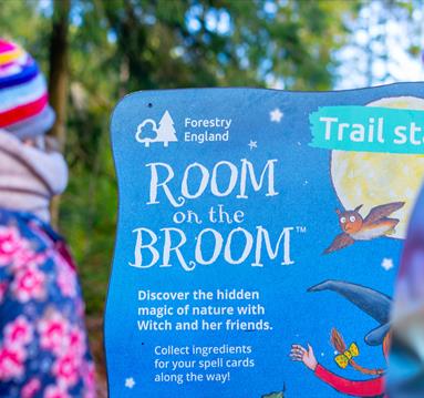 Room on the Broom trail at Sherwood Pines
