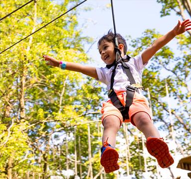Go Ape at Sherwood Pines | Nottingham