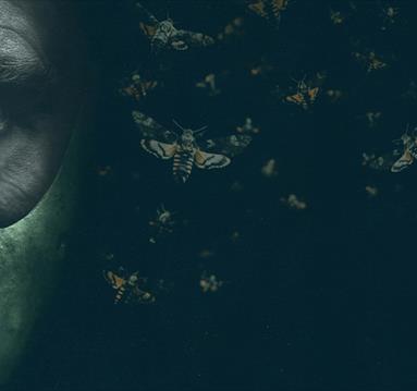 The Silence Of The Lambs
