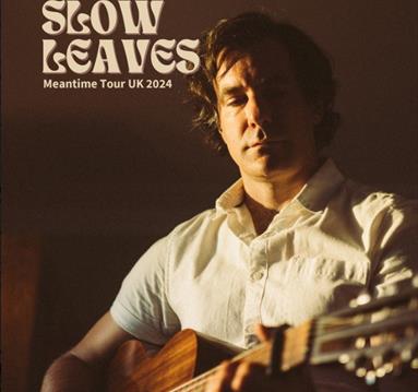 Slow Leaves
