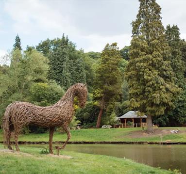 Woodland Walks & Nature Talks
