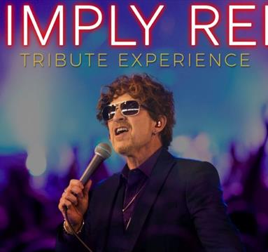 Holding Back The Years - The Ultimate Simply Red Tribute Experience
