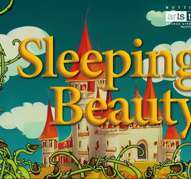 Sleeping Beauty Pantomime
