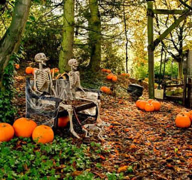 Spookfest at Sundown Adventureland