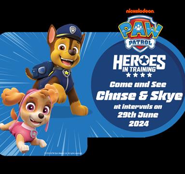 Graphic of Paw Patrol characters