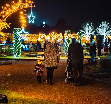 Wollaton Winter Light Trail