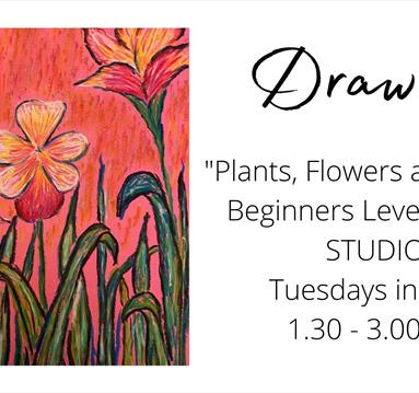 Tuesday Drawing Class Drawing plants, flowers and trees June 2023