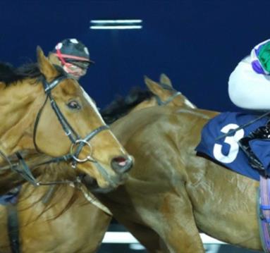 Tuesday Evening Racing
