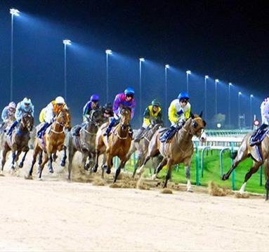 Tuesday Floodlit Racing

