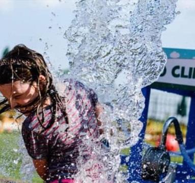 Springtime Stamper Trail - Hop, skip and jump to the Bunny Burrow!
