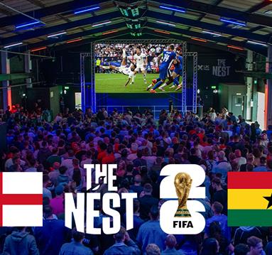 World Cup Fanzone: England v Ghana
