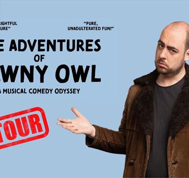 The Adventures of Tawny Owl; a musical comedy odyssey