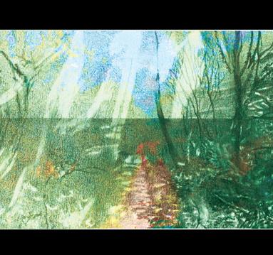 Raw Material by Paul Harraway
