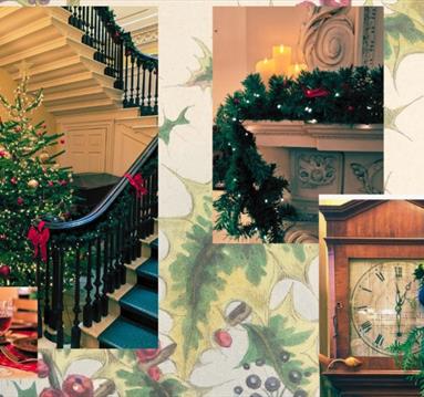 The Library at Christmas
