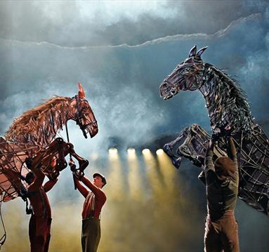 War Horse