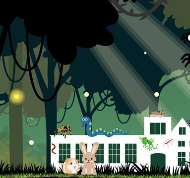 Cartoon graphic of spiders in a forest