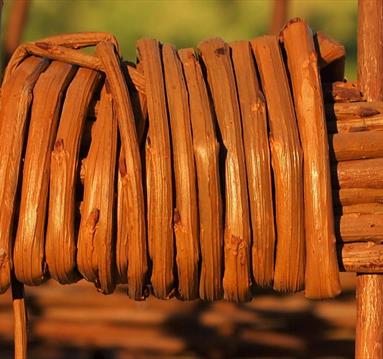 Photo of a Willow Obelisk.