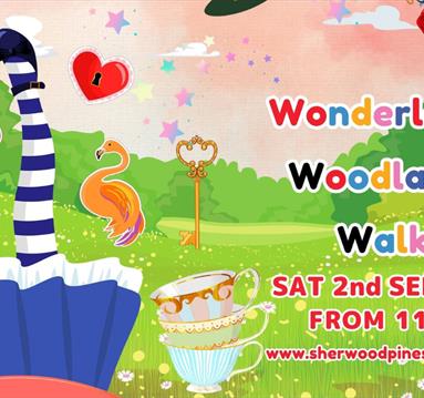 Wonderland Woodland Walk
