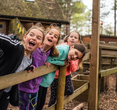 February Half Term at Go Ape
