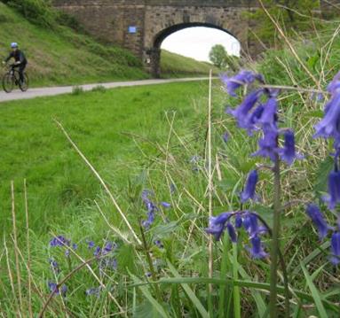 Newark to Cotham Cycle Route