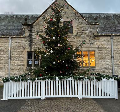 Christmas 2024 at Thoresby Park in Nottingham