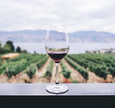 Tour & Tasting Vineyard Experience at Hanwell Wine Estate | Visit Nottinghamshire