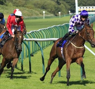 Grassroots Finals Day at Nottingham Racecourse

