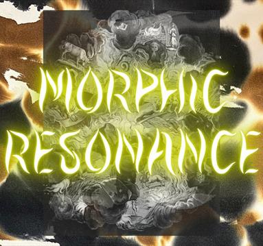 Morphic Resonance by Beth Kettel