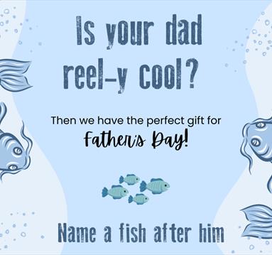 Name a fish after your dad for Father's Day!