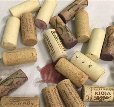 new world vs old world wine tasting November 2023