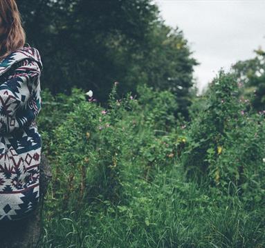 rarescale: Sounds Strangely Good, Ya?