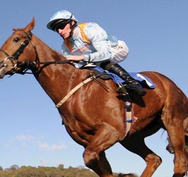 RSA Syndicate £9 Raceday at Nottingham Racecourse
