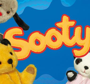 Image of Sooty the Puppet 