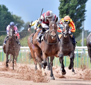 Southwell Racecourse
