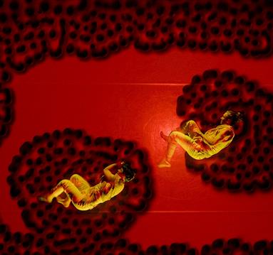 Light Night: More Than Human
