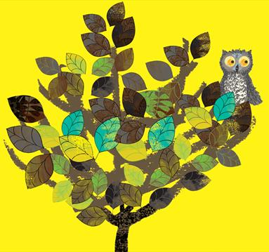 Wow! Said The Owl