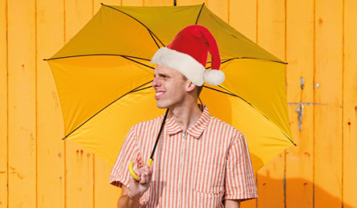 harry christmas