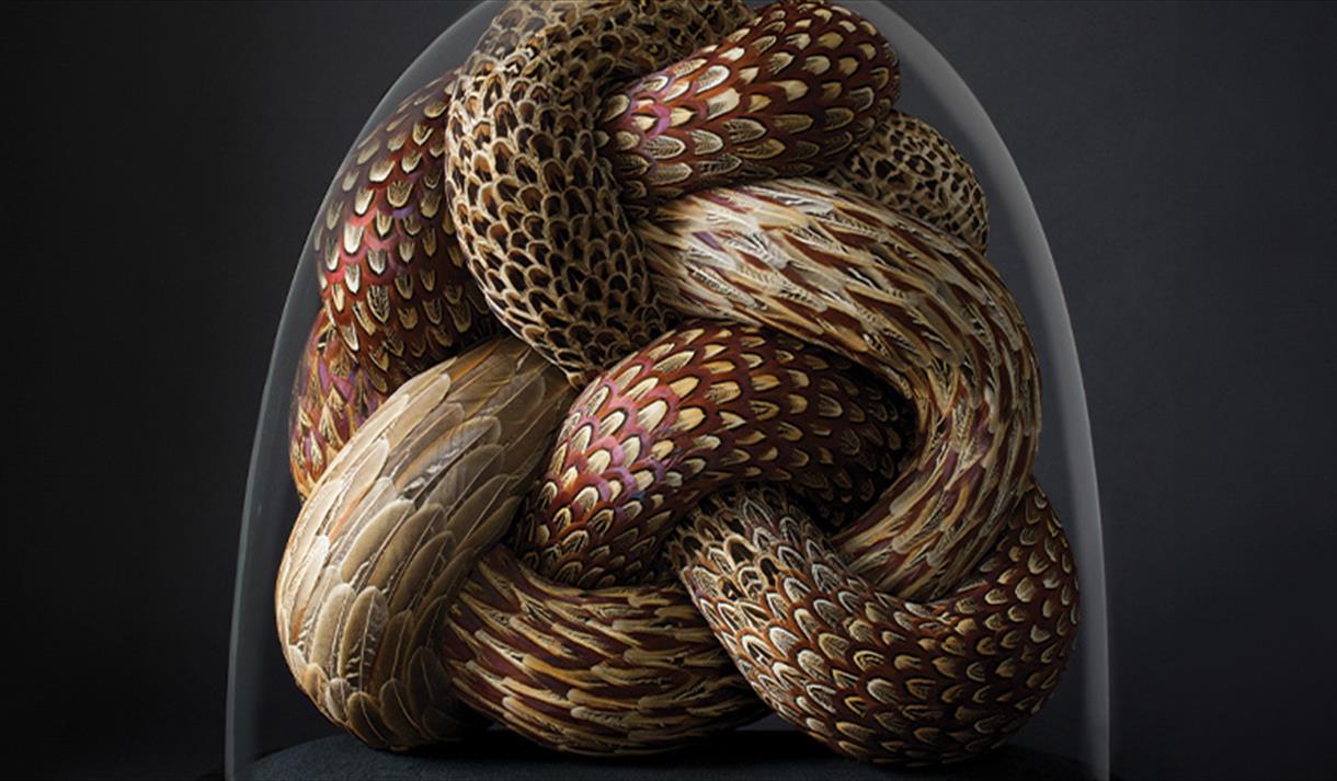 KATE MccGWIRE Quiver