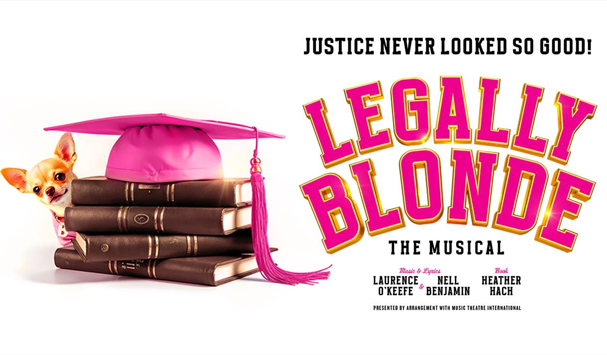 poster for legally blonde musical