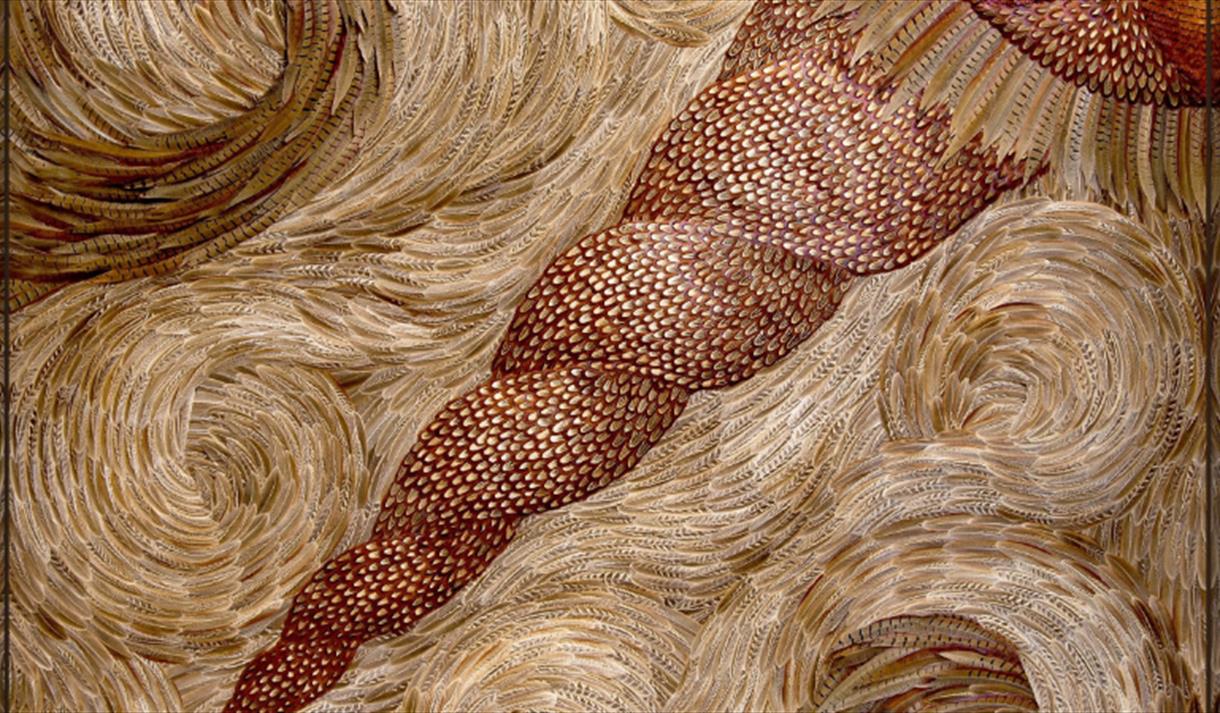 TALK: BUGS, BONES AND BIRDS