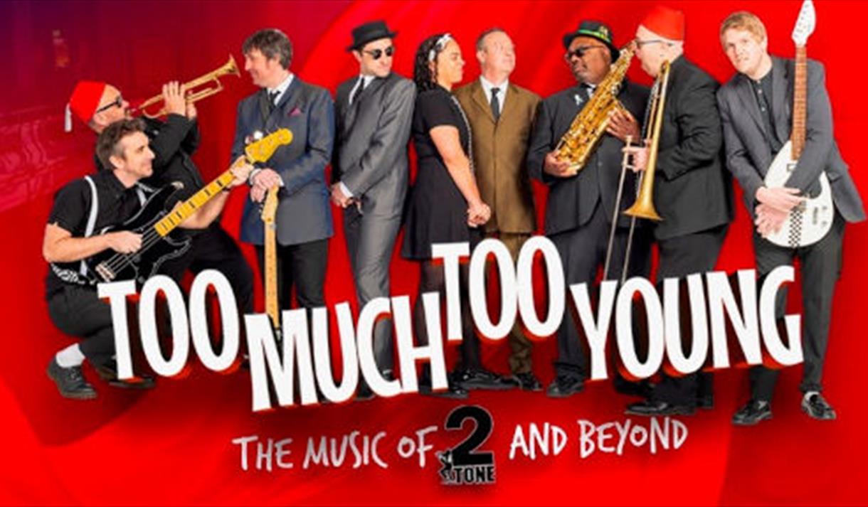 Too Much Too Young - The Music of 2 Tone and Beyond
