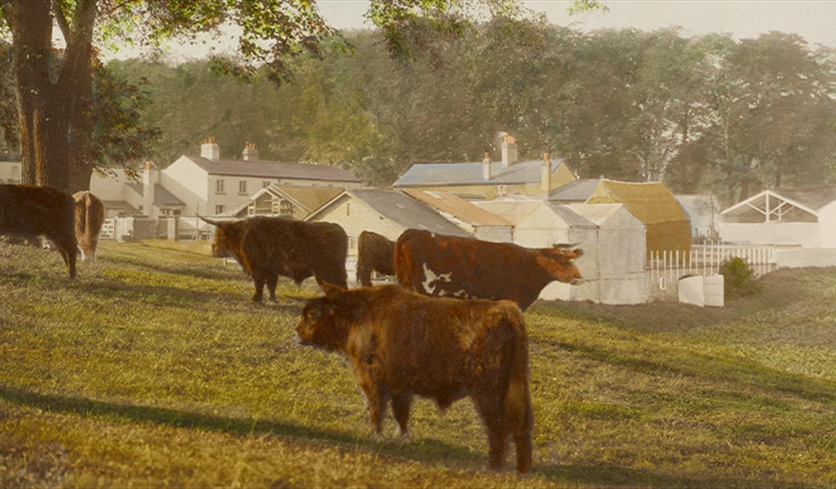 health and the countryside